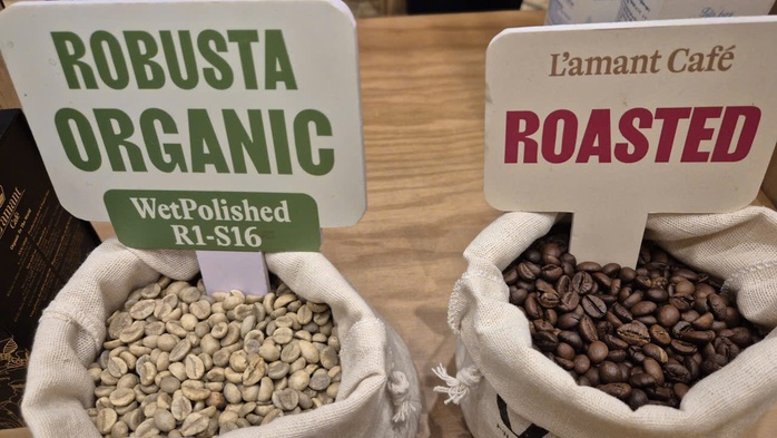 Gi&aacute; c&agrave; ph&ecirc; h&ocirc;m nay 2 - 4: Vua xuất khẩu l&ecirc;n kế hoạch trồng 24 . 000 Ha c&agrave; ph&ecirc; - Ảnh 4.