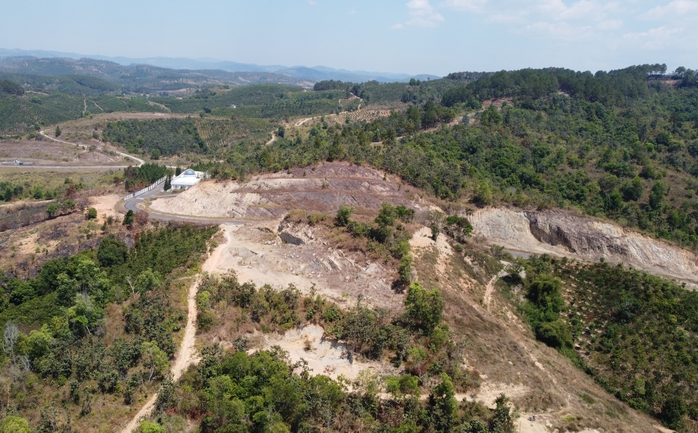 Ngăn rừng "chảy m&aacute;u" - Ảnh 1.