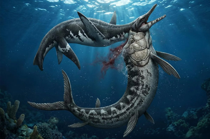 Mỹ: X&agrave; đầu long 80 triệu tuổi lộ diện với &ldquo;vật lạ&rdquo; trong cổ - Ảnh 1.