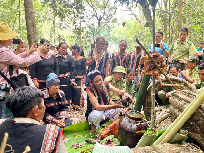 Lễ cúng rừng Gia Lai 2026: Sự kiện văn hóa Độc đáo thu hút hàng ngàn người - Ảnh 1. Lễ cúng rừng Gia Lai 2026: Sự kiện văn hóa Độc đáo thu hút hàng ngàn người - Ảnh 1.