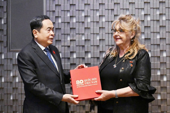 Việt Nam - &Yacute; hướng tới n&acirc;ng cấp quan hệ - Ảnh 1.