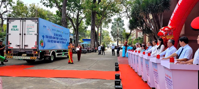 Đồng Th&aacute;p xuất khẩu bưởi da xanh sang &Uacute;c , n&acirc;ng cao gi&aacute; trị kinh tế 2026 - Ảnh 1.