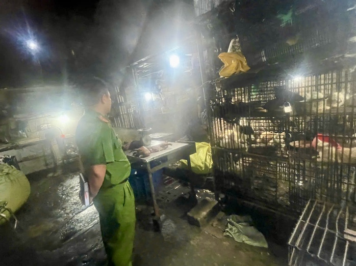 TPHCM: "Đột kích" 2 cơ sở giết mổ chó, mèo trong khu dân cư - Ảnh 1.