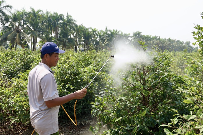 TPHCM đẩy mạnh đào tạo nghề nông nghiệp, mục tiêu 1.680 lao động năm 2026 - Ảnh 2.