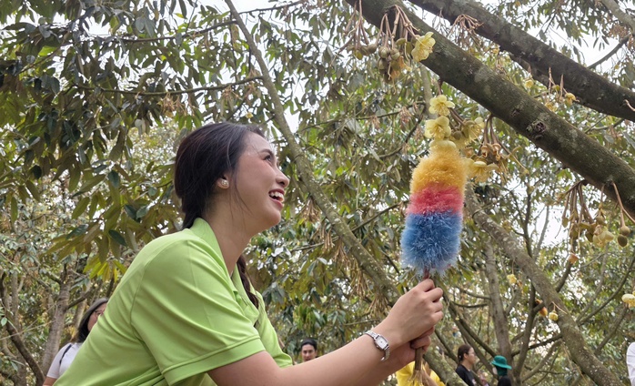 CLIP: Xem hoa hậu, nam vương thụ phấn cho "lo&agrave;i c&acirc;y tỉ đ&ocirc;" - Ảnh 2.