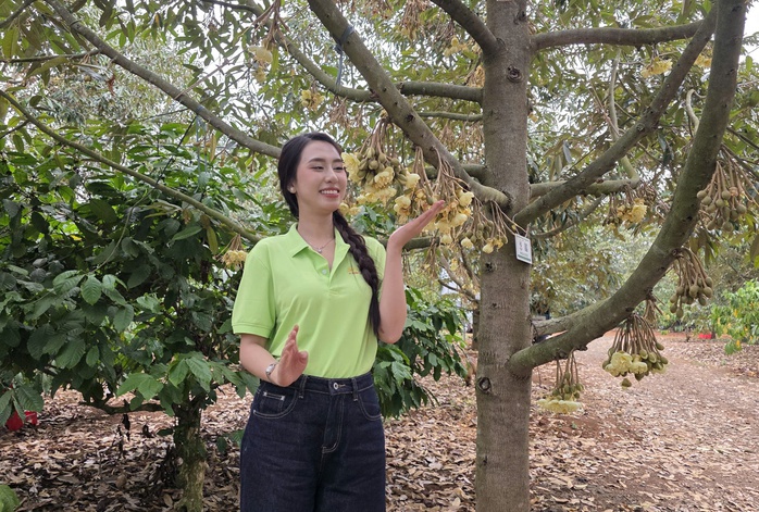 CLIP: Xem hoa hậu, nam vương thụ phấn cho "lo&agrave;i c&acirc;y tỉ đ&ocirc;" - Ảnh 3.