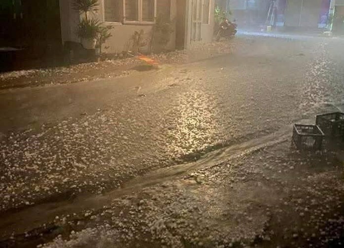 - Ảnh 2. - Ảnh 2.