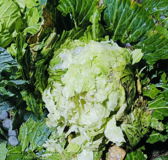 VIDEO: Đang nằm ngủ, hứng mưa đ&aacute; bằng nắm tay, 4 c&ocirc;ng nh&acirc;n bị thương - Ảnh 8.