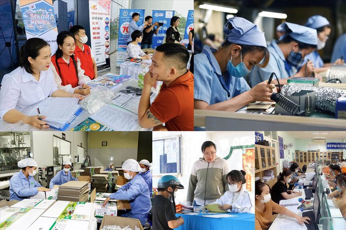 Hơn 20% việc l&agrave;m ở Việt Nam c&oacute; nguy cơ bị GenAI ảnh hưởng - Ảnh 1.