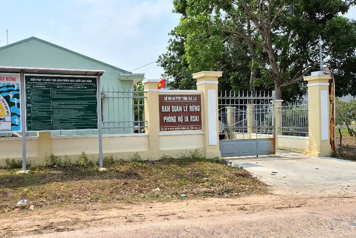 Bắt tạm giam trưởng Ban quản l&yacute; rừng ph&ograve;ng hộ tại gia Lai năm 2026 - Ảnh 1.