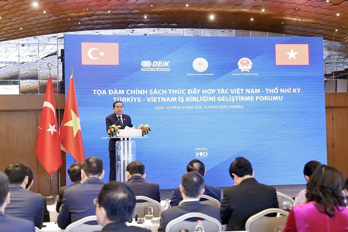 Việt Nam - Thổ Nhĩ Kỳ th&uacute;c đẩy hợp t&aacute;c - Ảnh 1.