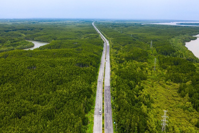 Nghi&ecirc;n cứu mở rộng đường Rừng S&aacute;c l&ecirc;n 8 l&agrave;n xe tại TPHCM năm 2026 - Ảnh 1.