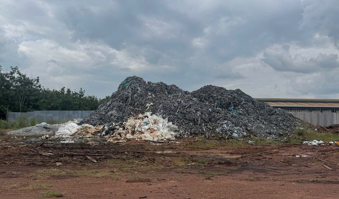 Bắt giữ 2 đối tượng gây ô nhiễm môi trường với 500 tấn da bò hôi thối - Ảnh 1.