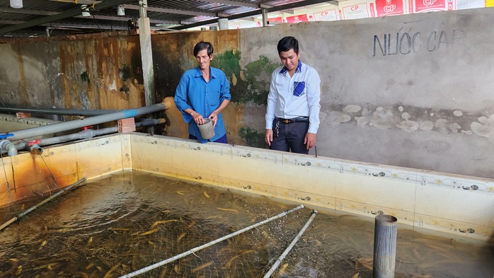 Chủ tịch Hội N&ocirc;ng d&acirc;n TP Cần Thơ cảnh b&aacute;o t&igrave;nh trạng lươn qu&aacute; lứa kh&ocirc;ng ti&ecirc;u thụ được - Ảnh 1.