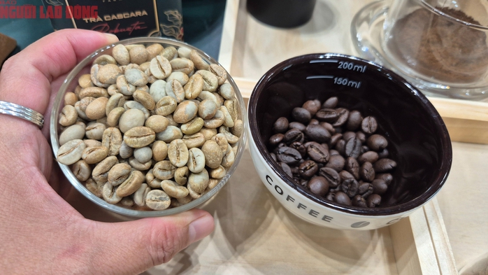 Gi&aacute; c&agrave; ph&ecirc; h&ocirc;m nay 18-4: Giảm tiếp, bất chấp Brazil xuất khẩu thấp nhất 8 năm qua - Ảnh 1.