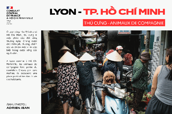 Triển l&atilde;m ảnh về 2 th&agrave;nh phố kết nghĩa Lyon - TP HCM - Ảnh 3.