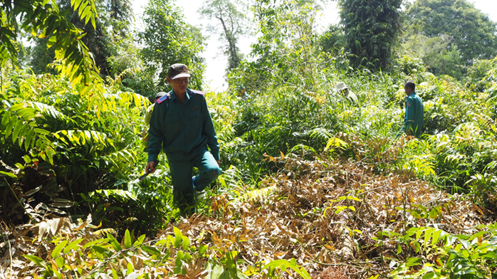 Dồn sức giữ rừng trong m&ugrave;a kh&ocirc; - Ảnh 1.