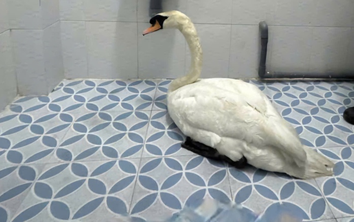 Th&ocirc;ng tin nổi bật ở TPHCM ng&agrave;y 2-4: B&iacute; thư Th&agrave;nh ủy &ocirc;m đ&agrave;n, h&aacute;t tặng thanh ni&ecirc;n; lập 4 đo&agrave;n khảo s&aacute;t - Ảnh 5.