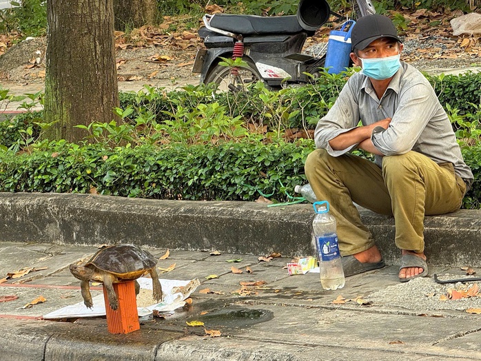 Mua b&aacute;n r&ugrave;a để "ph&oacute;ng sinh" - dấu hiệu phạm luật! - Ảnh 1.