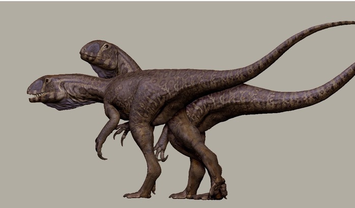 Qu&aacute;i vật 201 triệu tuổi "trỗi dậy" từ mỏ đ&aacute; ở Mỹ - Ảnh 1.