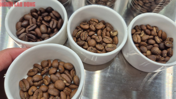 Gi&aacute; c&agrave; ph&ecirc; h&ocirc;m nay 22-4: Mới tăng đ&atilde; giảm, n&ocirc;ng d&acirc;n c&acirc;n nhắc điều n&agrave;y - Ảnh 1.