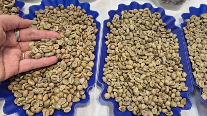 Gi&aacute; c&agrave; ph&ecirc; h&ocirc;m nay 21-4: Robusta bật tăng 3 con số - Ảnh 1.