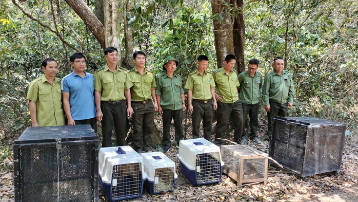  Câu chuyện bảo tồn động vật qúy hiếm - Ảnh 1.