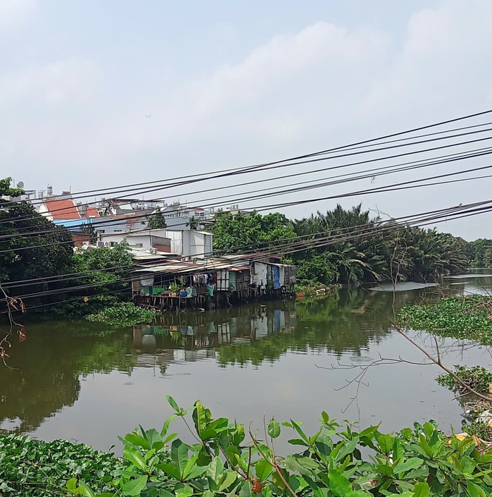 Phản hồi: Gỡ nh&aacute;nh c&acirc;y vướng v&agrave;o d&acirc;y điện - Ảnh 1.