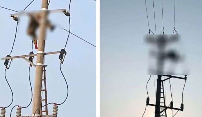 B&agrave;ng ho&agrave;ng ph&aacute;t hiện thi thể nam sinh treo tr&ecirc;n cột điện - Ảnh 1.