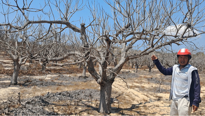 Chuyện kh&oacute; hiểu ở khu phố Suối Nước - Ảnh 1.