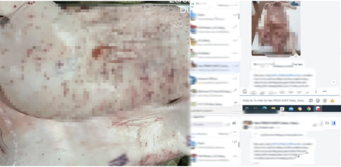 Từ vụ mua b&aacute;n h&oacute;a đơn tr&aacute;i ph&eacute;p ở C&agrave; Mau, nh&igrave;n lại diễn biến vụ C&ocirc;ng ty C.P. Việt Nam bị "tố" - Ảnh 1.