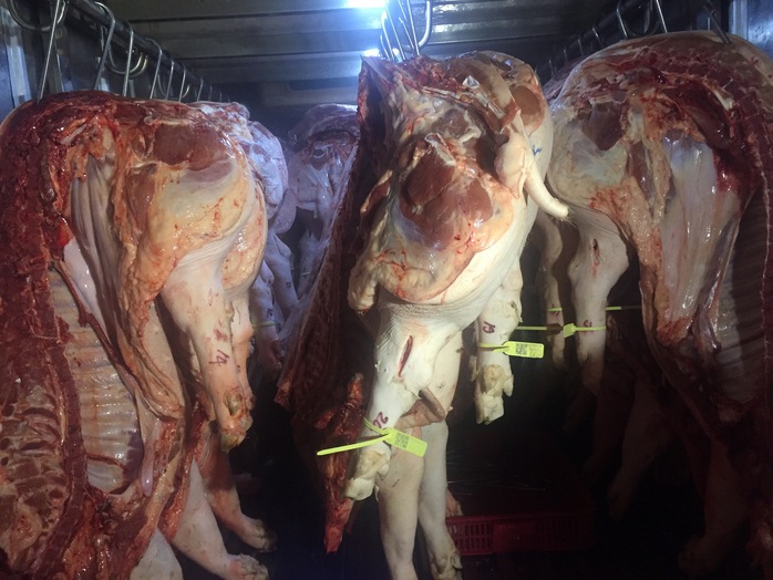 Gi&aacute; heo hơi h&ocirc;m nay, 23-4: Chợ đầu mối "đ&aacute;nh" gi&aacute; xuống - Ảnh 1.