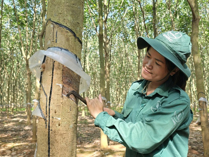 T&iacute;ch cực chăm lo, x&acirc;y dựng văn h&oacute;a an to&agrave;n lao động - Ảnh 2.