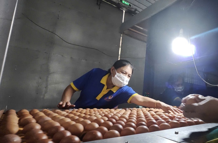 Ba Hu&acirc;n nợ bảo hiểm x&atilde; hội k&eacute;o d&agrave;i v&agrave; B&agrave;i học quản trị cho doanh nghiệp 2026 - Ảnh 3.