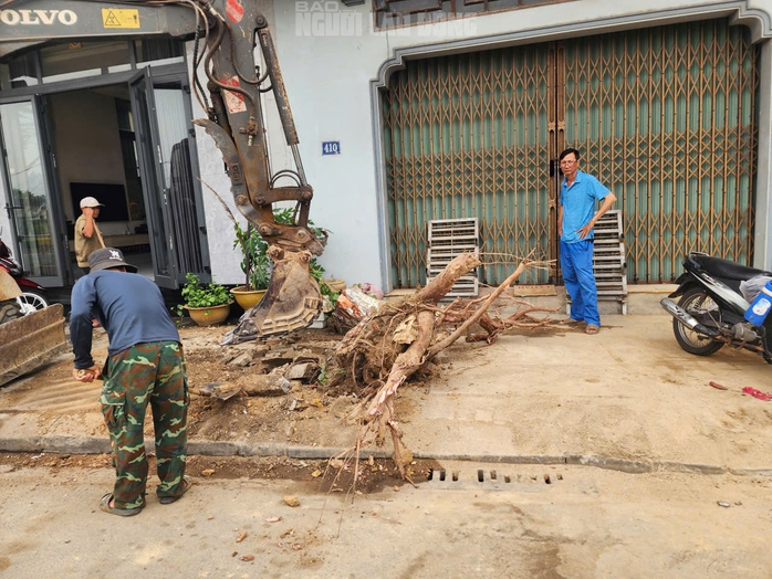 L&yacute; do chặt c&acirc;y Huế 2026 g&acirc;y bất ngờ cho người d&acirc;n khu vực L&ecirc; Duẩn - Ảnh 9.