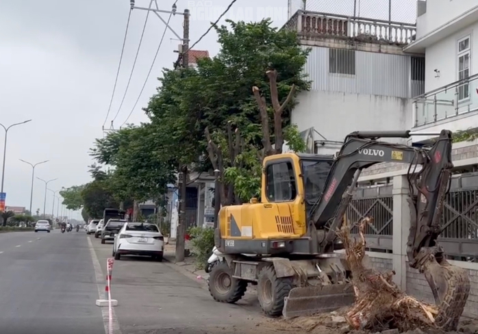 L&yacute; do chặt c&acirc;y Huế 2026 g&acirc;y bất ngờ cho người d&acirc;n khu vực L&ecirc; Duẩn - Ảnh 6.