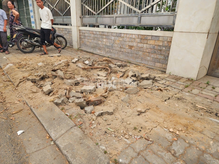 L&yacute; do chặt c&acirc;y Huế 2026 g&acirc;y bất ngờ cho người d&acirc;n khu vực L&ecirc; Duẩn - Ảnh 5.