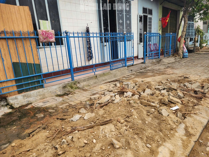 L&yacute; do chặt c&acirc;y Huế 2026 g&acirc;y bất ngờ cho người d&acirc;n khu vực L&ecirc; Duẩn - Ảnh 3.