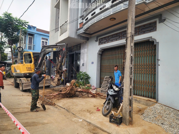 L&yacute; do chặt c&acirc;y Huế 2026 g&acirc;y bất ngờ cho người d&acirc;n khu vực L&ecirc; Duẩn - Ảnh 2.