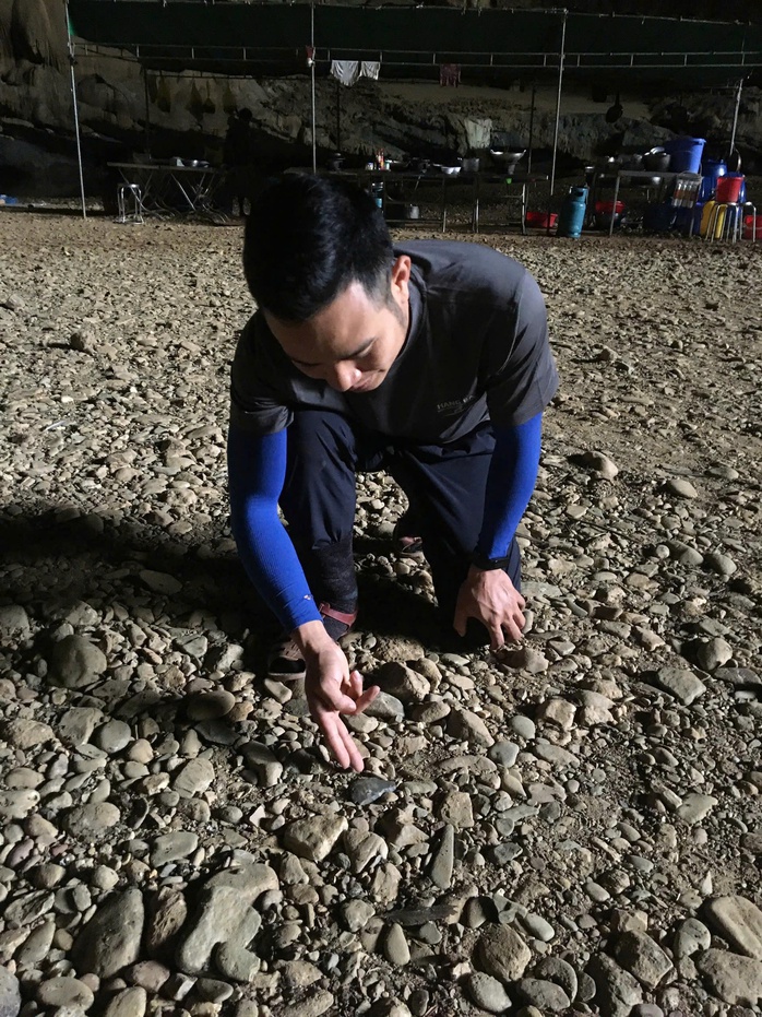 Ph&aacute;t hiện r&igrave;u đ&aacute; 8 . 000 Năm tuổi trong hang &Eacute;n ở Phong Nha - Kẻ B&agrave;ng - Ảnh 3.