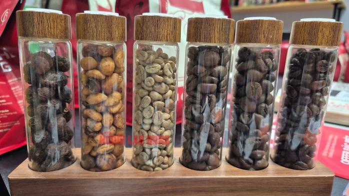 Gi&aacute; c&agrave; ph&ecirc; h&ocirc;m nay 26 - 4: Dự b&aacute;o gi&aacute; c&agrave; ph&ecirc; kh&oacute; khăn trong năm 2026 - Ảnh 2.