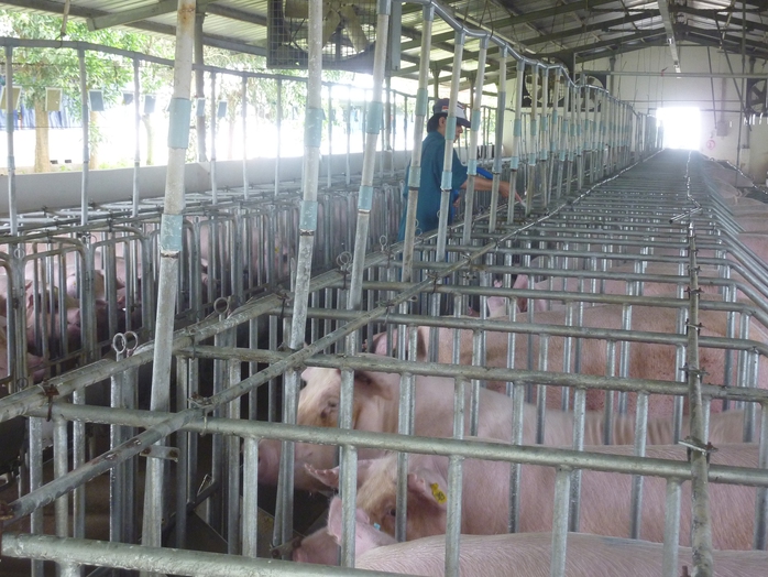 Gi&aacute; heo hơi h&ocirc;m nay 27-4: C&aacute;c v&ugrave;ng miền đều tăng - Ảnh 2.