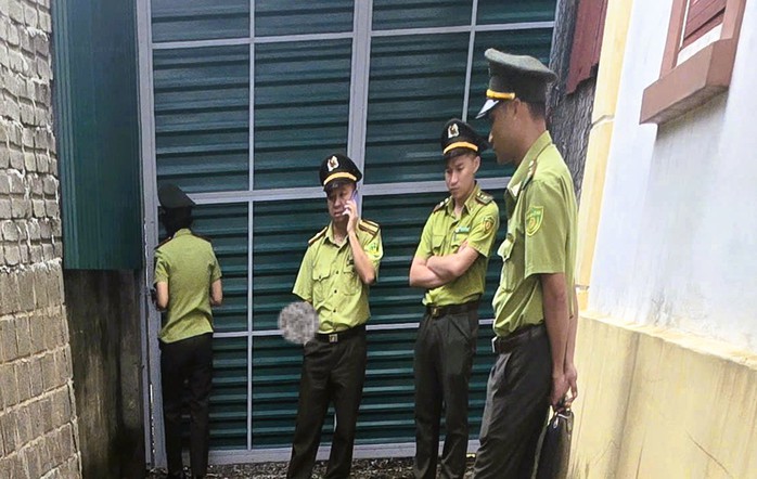 Kiểm l&acirc;m "đột k&iacute;ch" nh&agrave; d&acirc;n, thu giữ 122 c&acirc;y muội hồng - Ảnh 1.