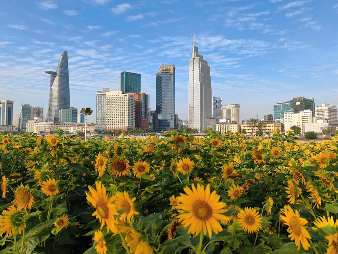 TP HCM hiện đại vươn m&igrave;nh th&agrave;nh si&ecirc;u đ&ocirc; thị quốc tế v&agrave;o năm 2025 - Ảnh 1.