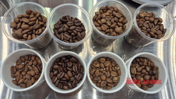 Gi&aacute; c&agrave; ph&ecirc; h&ocirc;m nay 29 - 4: Trung Quốc đầu tư mạnh v&agrave;o thị trường c&agrave; ph&ecirc; - Ảnh 2.