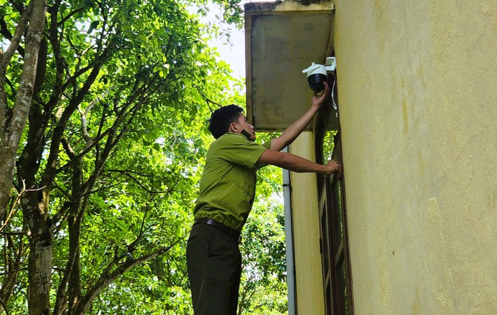 Lắp camera bảo vệ c&acirc;y muội hồng tang vật - Ảnh 2.