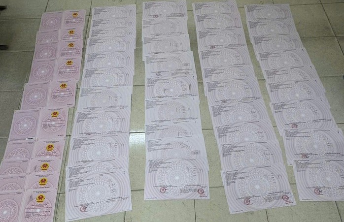 Vũ Thị Mai Phương Lừa đảo gần 200 tỉ với giấy chứng nhận quyền sử dụng đất giả - Ảnh 2.