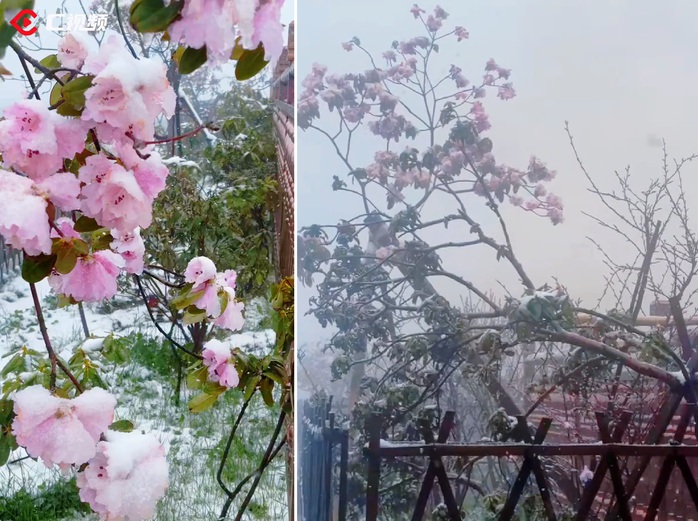 Nhiều tỉnh th&agrave;nh Trung Quốc bất ngờ c&oacute; tuyết - Ảnh 5.