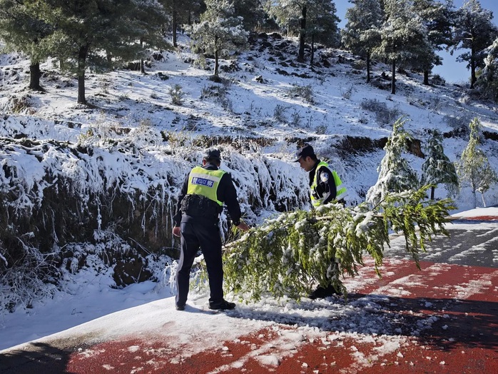Nhiều tỉnh th&agrave;nh Trung Quốc bất ngờ c&oacute; tuyết - Ảnh 4.