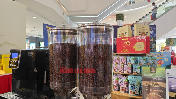 Gi&aacute; c&agrave; ph&ecirc; h&ocirc;m nay 4 - 4: Xu hướng giảm v&agrave; ảnh hưởng đến n&ocirc;ng d&acirc;n - Ảnh 4.